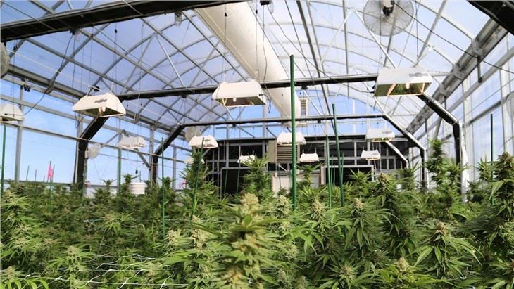 Blackout Agriculture Greenhouse Polycarbonate Sheet